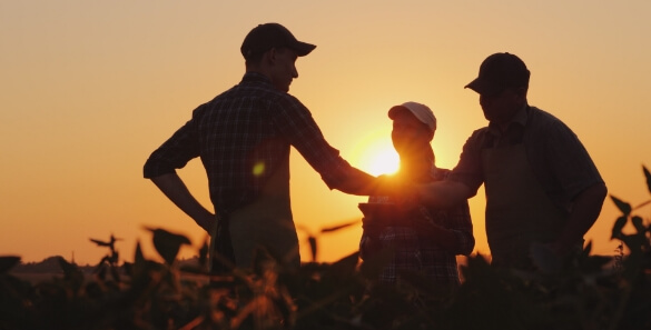 A few farmers talking at dusk